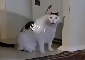 “少女心”梦碎塞纳河畔，巴黎你的松弛感是不是有点过头了？！