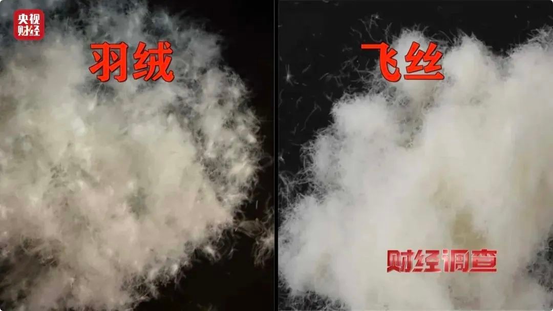 纯低价的羽绒服为什么卖不动了?